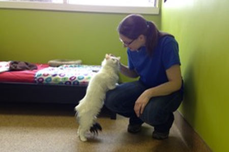 Western NY's best and cat daycare, pet resort.