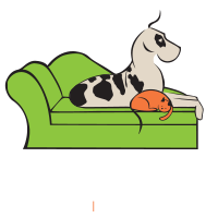 Creature Comforts Pet Resort