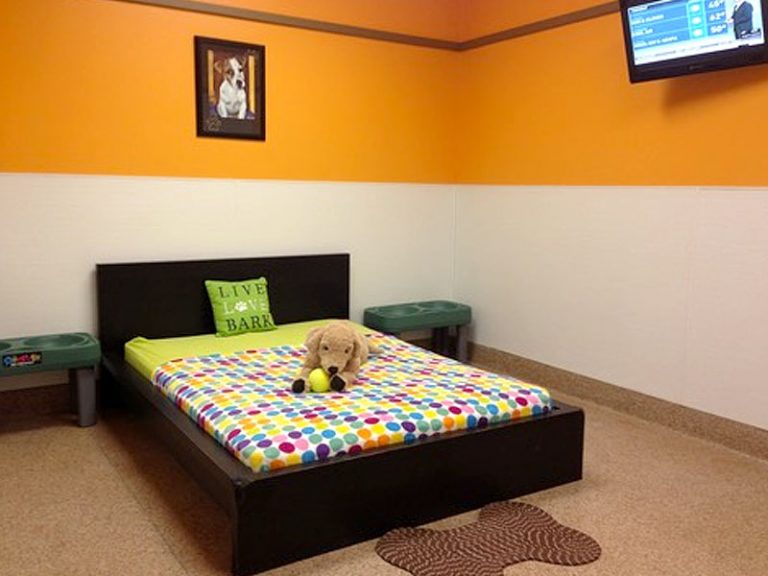 Pet boarding in Western New York with highest quality care for dogs & cats