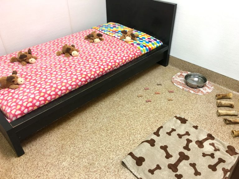 Pet boarding in Western New York with highest quality care for dogs & cats