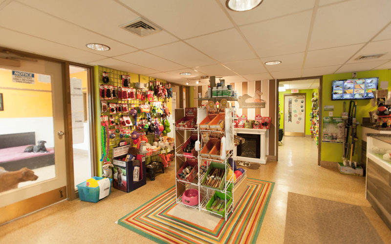 Angola location store