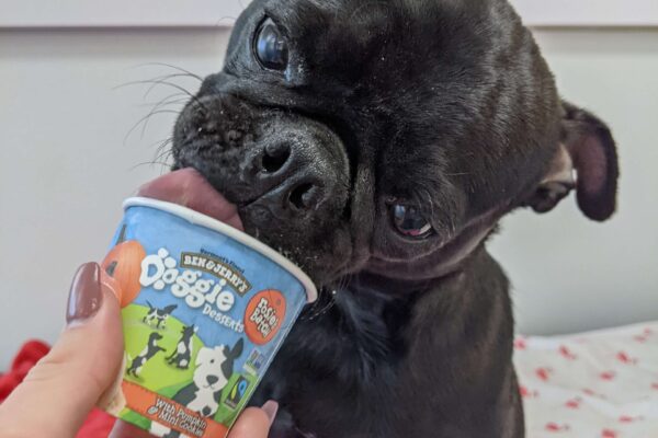 Porkchop with Ice Cream